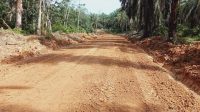 Lahan Perkebunan Kini Sudah Berganti Wajah Menjadi Salah Satu Akses Jalan, Senin (06/06/2022), (Foto: BN/AL)